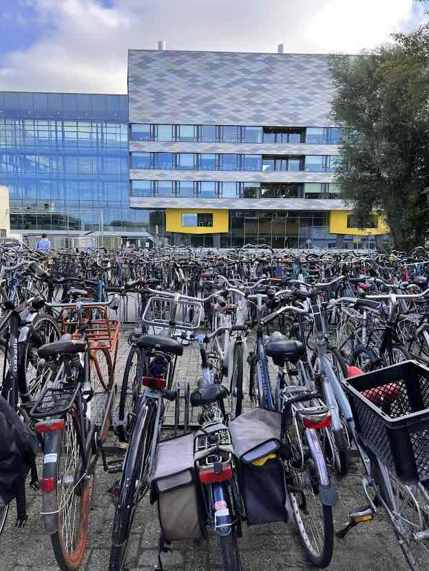 Cheap Bikes